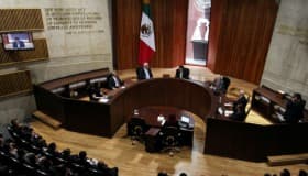 El Tribunal Electoral falla a favor del Partido Verde en el caso del crédito bancario