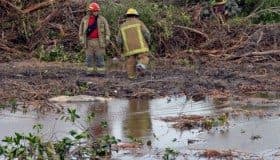 Cancelar definitivamente construcción en manglar en QRoo, piden a través de Change.org