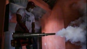 Zika, "virus traicionero y lleno de incertidumbre": OMS