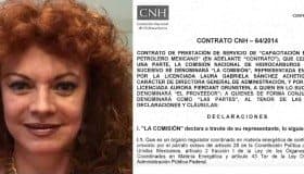 Contrato a Aurora Pierdant le permitía acceder a datos reservados de Ronda 1 (Mexicoleaks)