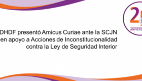 CDHDF presentó amicus curiae ante la SCJN sobre Ley de Seguridad Interior
