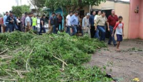 Múltiples daños deja "Willa" en Sinaloa