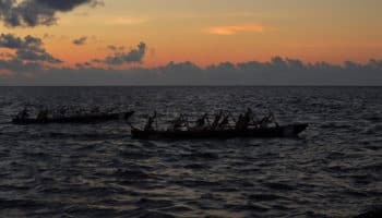 Tras accidente en parque acuático de Xcaret no se pidió auxilio al 911 ni se avisó al MP: Luna Calvo | Entérate