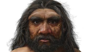 El 'Homo longi' podría ser el eslabón perdido y el más cercano a los humanos