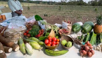 AMLO se reunirá el lunes con John Kerry en Tabasco; le presentará 'Sembrando Vida' | Entérate