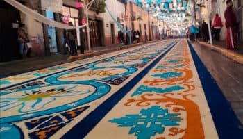 Huamantla: con alfombra de 3 mil metros de flores de aserrín, México rompe Récord Guinness | Video
