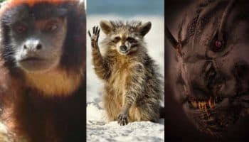 El reino animal da de qué hablar... ¡Conoce a sus protagonistas!