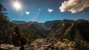 Publica AMLO acuerdo para declarar nuevas reservas naturales