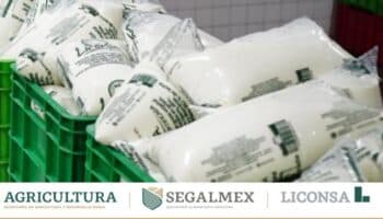 'Caso Segalmex podría quedar en la impunidad si FGR no empieza a obtener sentencias': Alamillo | Entérate