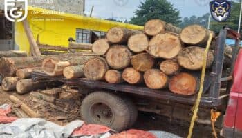 Procesa FGR a 5 presuntos talamontes que operan en Tlalpan