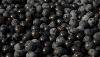 ¿Qué es el asaí y para que sirve?