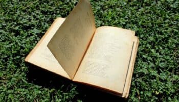 ¡Celebra el Día Mundial de la Poesía en Centro Xavier Villaurrutia!