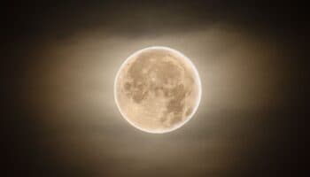 Fotos | ¿Qué es la Luna de Flores y cómo se vivió en CDMX?