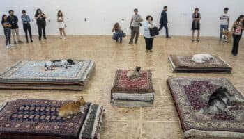 El Museo Tamayo responde que la participación de perros reales en el performance Casts solo fue por hoy