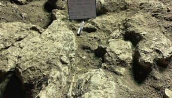 Descubren 26 entierros de antiguos mayas en Campeche