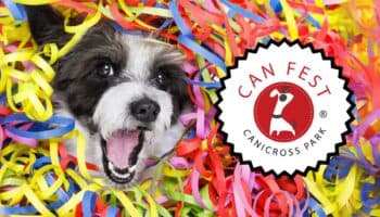 ¡Celebra a tu amigo de cuatro patas en el Can Fest 2024!