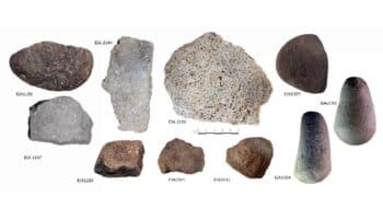 Identifican restos de maíz con más de 6 mil años de antigüedad en Xochimilco