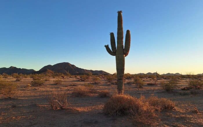 Ejido el Bajío informará a inversionistas de Londres sentencia que obliga a Grupo Fresnillo pagar unos 630 mdd a ejidatarios