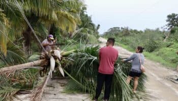 Sheinbaum viajará a Oaxaca para supervisar acciones de apoyo tras paso de 'Erick'