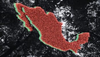84 defensores del medio ambiente asesinados en México desde 2016: ONG