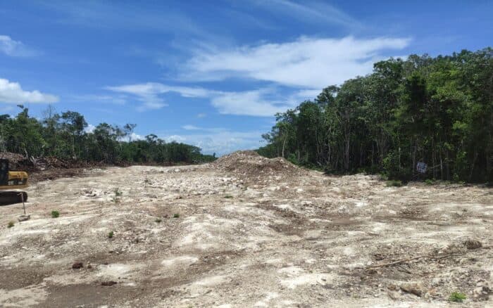 Cambio climático | Es necesario redefinir la esperanza en un concepto más activo: Pablo Montaño