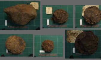 Conservan milenarias pelotas olmecas de hule