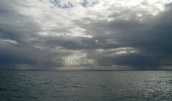 Países logran acuerdo global para proteger la biodiversidad en alta mar