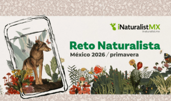 Naturaleza y ciencia ciudadana: resultados del Reto Naturalista de primavera 2026