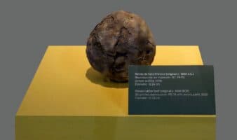 Réplicas de las pelotas de hule más antiguas de Mesoamérica son exhibidas en el Zócalo