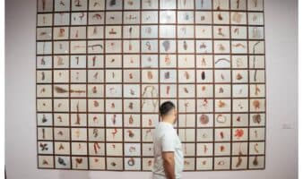 El MAM revive dos exposiciones clave para el arte contemporáneo mexicano de los noventa
