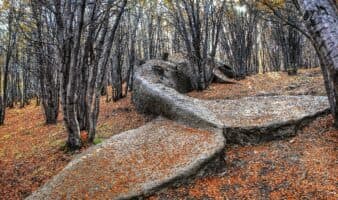‘Momentum’: una revisión de la relación entre el arte latinoamericano y la ecología