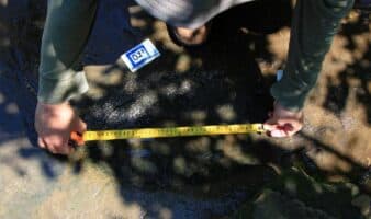 INAH confirma descubrimiento de 50 huellas de dinosaurios en Michoacán