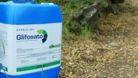 Sí hay evidencias científicas del impacto negativo del glifosato, afirma Greenpeace