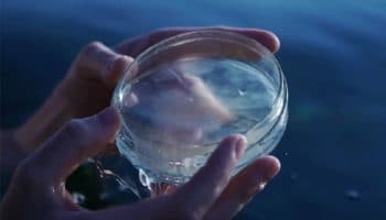 Fronteras de la medicina, tema de la edición 2021 del Festival El Aleph que organiza la UNAM