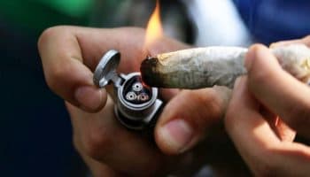 ¿Cómo identificar una urgencia por consumo de marihuana?: IMSS explica