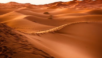 Polvo del desierto puede acelerar el deshielo: NASA investigará su impacto climático