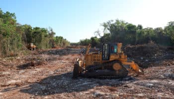 ¿Es posible defender al Tren Maya? | Artículo