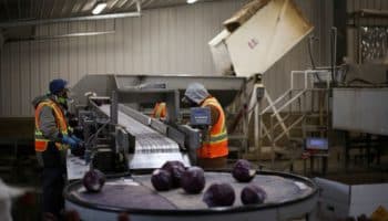 AMLO agradece a migrantes y se despide antes de concluir su mandato