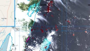 ¿Vas a Cancún? Revisa este portal para ver si hay sargazo
