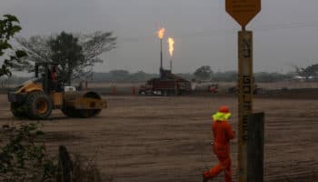 Órganos reguladores independientes permiten eficiencia en uso de recursos públicos: Experto | Entérate