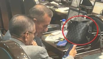 Sorprenden a diputado de Morena con bolso Louis Vuitton