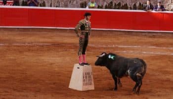 Morena no apoyará prohibición de toros en CDMX: Pedro Haces