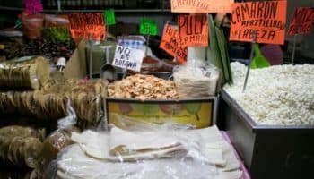 Tu cena de navidad puede no ser bacalao ¡Toma tus precauciones y no comas tiburón!