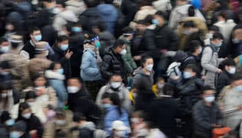 Todas las variantes de gripe aviar tienen potencial pandémico: OMS