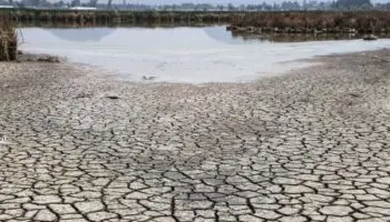Ahora, las sequías son prácticamente estacionales y anuales: Agua Capital | Video