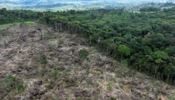 Deforestación de la Amazonia cayó un 22.3% el último año