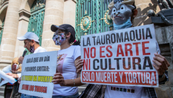 México: 10 años de la primera prohibición de corridas de toros