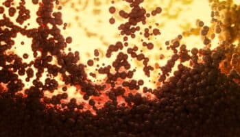 Científicos reviven moléculas de la Edad de Piedra