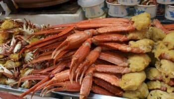 Amigos se comen 300 cangrejos y 80 postres para recuperar dinero de buffet