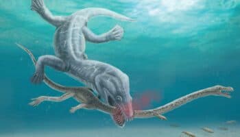 Revelan que reptil marino de cuello largo fue decapitado de un mordisco